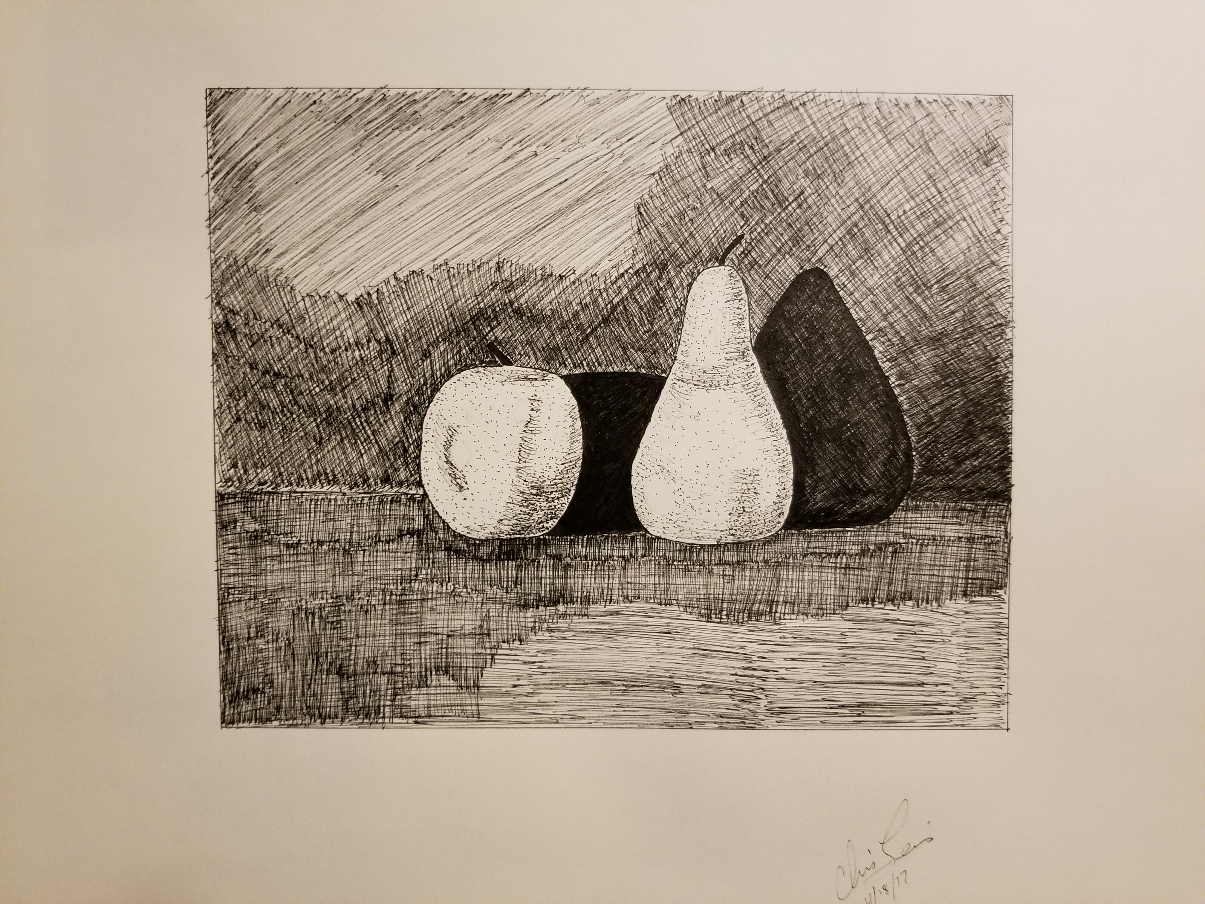 A picture of an apple and a pear. It shows shading and shadows of light. This was done with a micron pen.